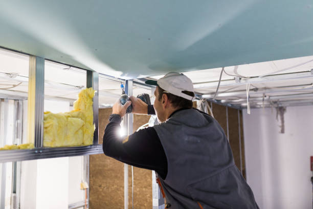 Best Best Insulation Companies  in Frankl, IN