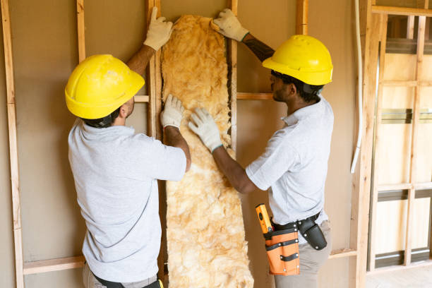Best Local Insulation Services  in Frankl, IN