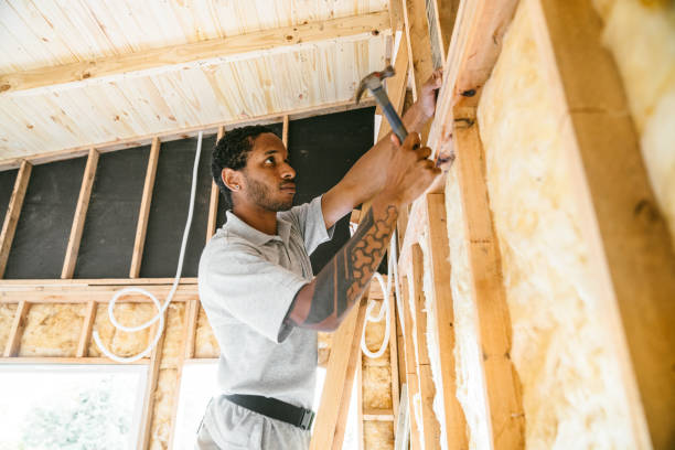 Best Residential Insulation Services  in Frankl, IN