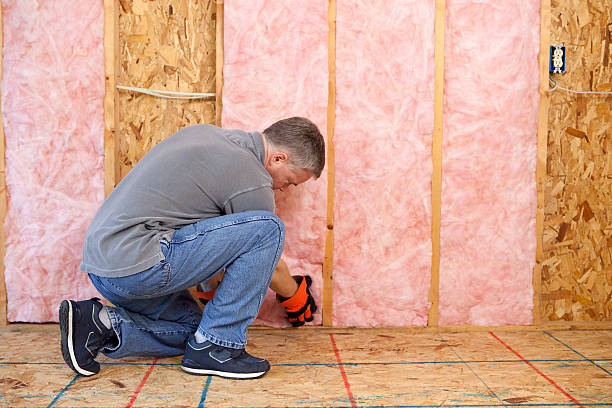 Best Insulation Inspection Services  in Frankl, IN