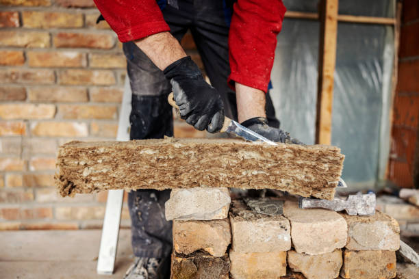Best Insulation Repair Services  in Frankl, IN